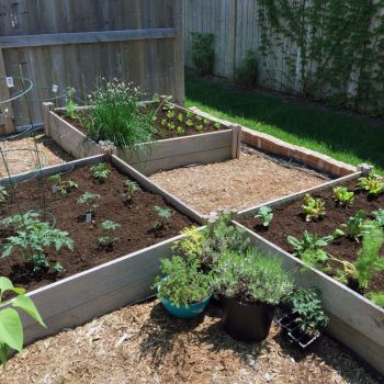 Grow A Garden
